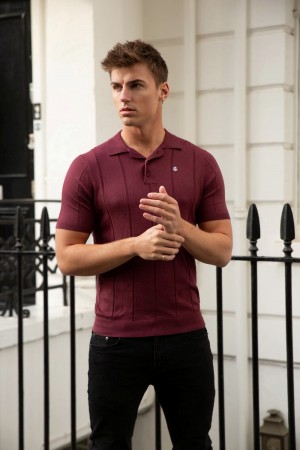 Blakely Finsbury Polo Shirt Viininpunainen | 0237149-CA