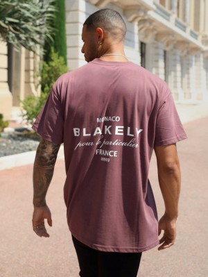 Blakely Monaco Relaxed T-Shirt Viininpunainen | 9402681-ML